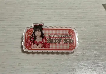 신기루 아므 이름표 배지