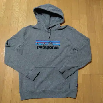 파타고니아 후드티