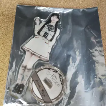 AKB48 야기 아이즈키 아크릴 스탠드