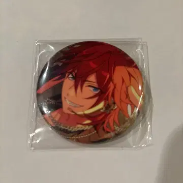 아마기 린네 피처 2 캔뱃지 19개