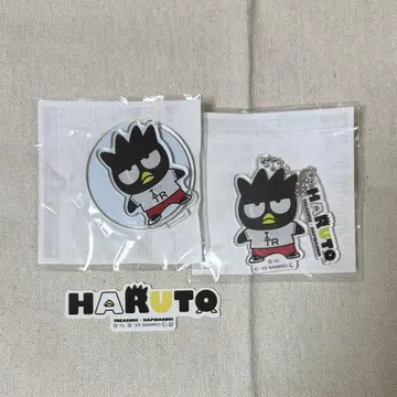 TREASURE 하피단바이 하루토