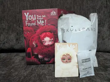 SKULLPANDA You Found Me! Sandman 스컬팬더