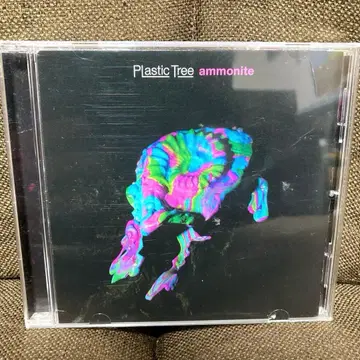 [ 중고 다이얼 면 새상품급 ] 암모나이트 Plastic Tree