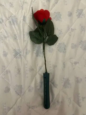 KAMIJO 로즈라이트