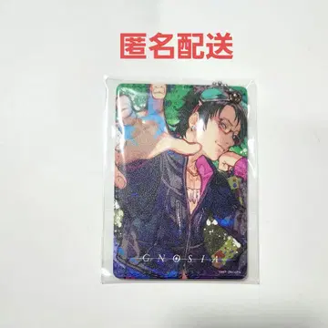 샤밍 그노시아 패스 케이스 빌레반 콜라보 GNOSIA 카드 케이스