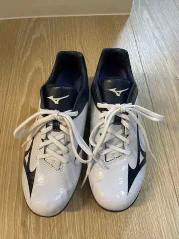 야구 스파이크 미즈노