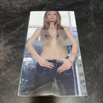 하마사키 아유미 20th Anniversary Edition