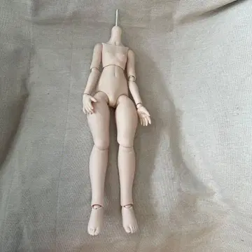 MDD 모찌다리 베이스 바디 s컵 세미 화이트 중고