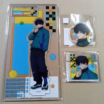 사카모토 데이즈 세바 여름 마루쿠지 세트