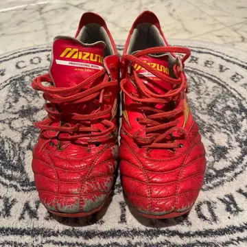 모렐리아 네오 4