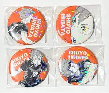 하이큐 히나타 쇼요 올스타 캔뱃지 4점