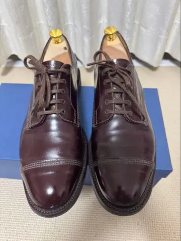 썬더스 밀리터리 더비 버건디 8