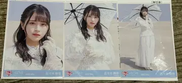 사사키 마이카*그녀 컴플렉스 자켓