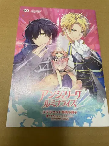 앙제 리 스텔라워스 소책자