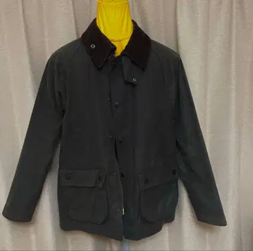 바버 비데일 SL 36