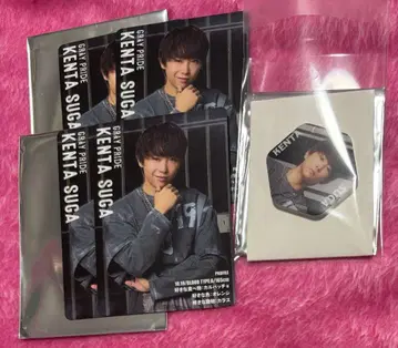 스가 켄타 세트 액터즈 리그 브레인 랜덤 틀린 그림 찾기 카드