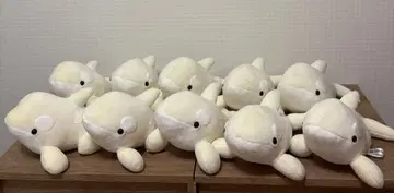 장미가 가능한 나고야항 수족관 범고래 복권 3등