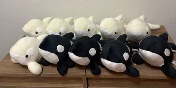 장미가 가능한 나고야항 수족관 범고래 복권 3등