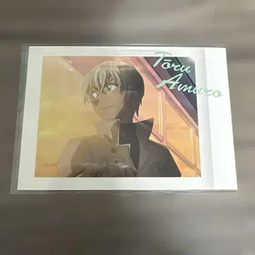 명탐정 코난 아무로 토오루 파샤코레 8장