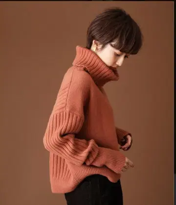 Spick & Span 터틀 풀오버 터틀 니트