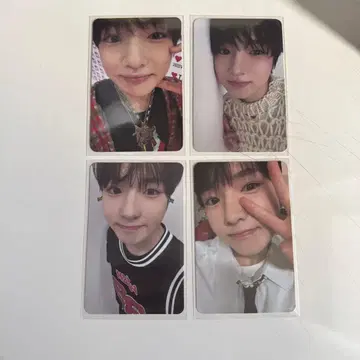 즉시 구매 nct wish steady 사쿠야 트레이딩 카드 세트