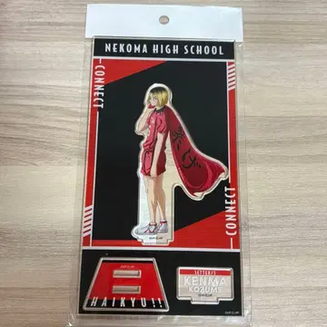 하이큐 아크릴 스탠드 도전하는 자들 히나타 쇼요 하이큐 플라자