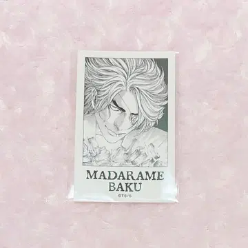 진격의 거인 캐릭터움 카페 폴라로이드(바쿠)