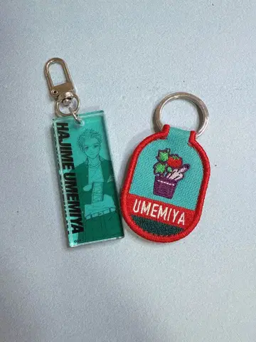 WIND BREAKER전 모티브 키링 아크릴 키링 우메미야 하지메