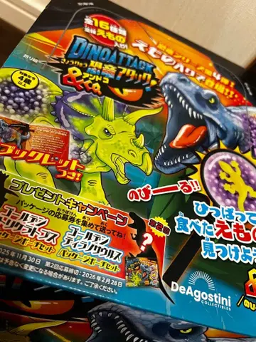 공룡 andco 안도코 박스 구매