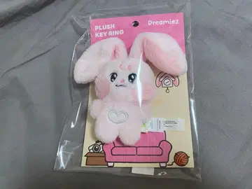 NCT DREAM Dreamiez 제민 키링