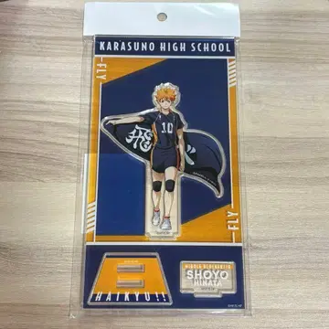 하이큐 아크릴 스탠드 도전하는 자들 히나타 쇼요 하이큐 플라자