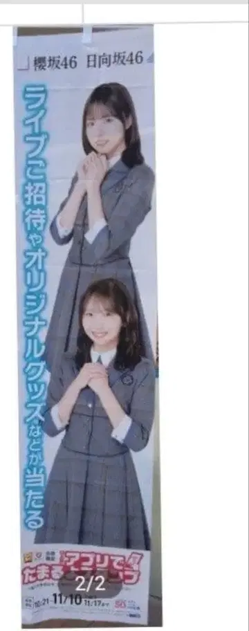 [익명 배송] 히나타자카 노보리