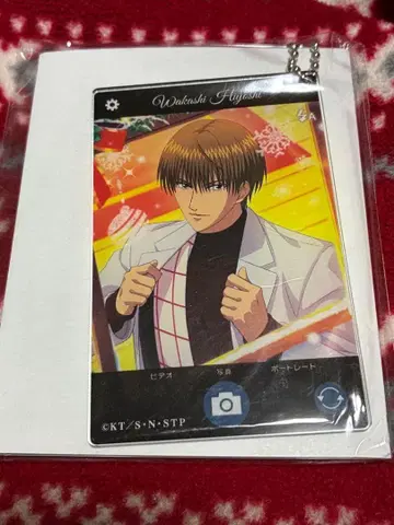 테니라비 아크릴 키링 히요시 와카