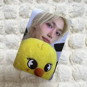 Stray Kids 필릭스 POPUP 혜택 트레이딩 카드 KARMA