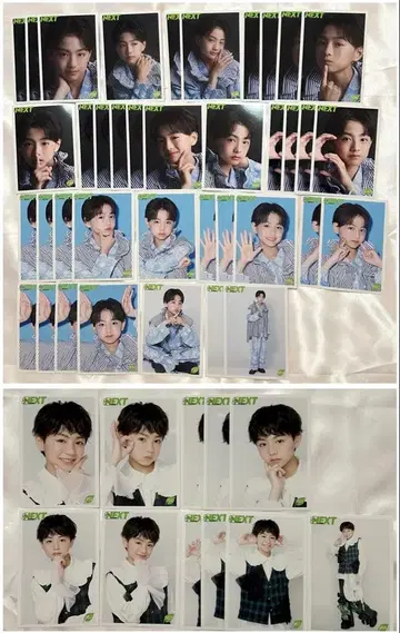 나리타 스이 브로마이드