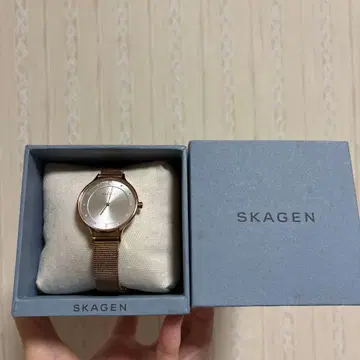 SKAGEN SKW1261 메쉬 시계