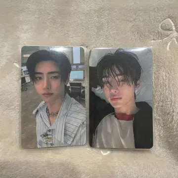 ENHYPEN 성훈 트레이딩 카드