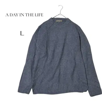 A DAY IN THE LIFE 니트 스웨터 유나이티드 애로우즈 L