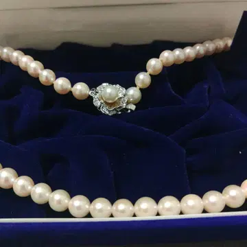 대특가 진주 새상품급