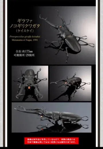 생물대도감 기라파 넓적사슴벌레 (케이스케이)