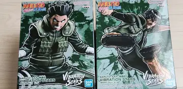 VIBRATION STARS 마이트 가이 락 리 2체 세트