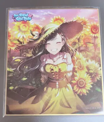 프로세카 시로이시 안 색지 24B 특훈 후 해바라기