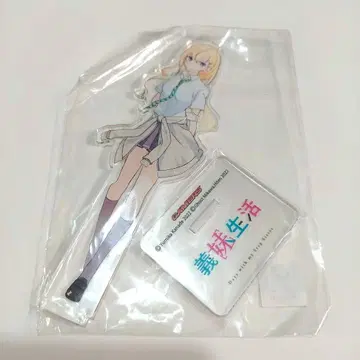 아야세 사키 신작 아크릴 스탠드 코믹스 의매생활 1권 게이머즈