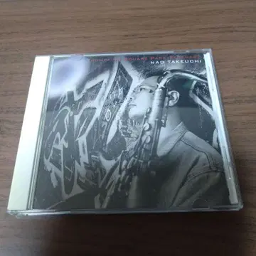 타케우치 나오/톰킨스 스퀘어 파크 세레나데