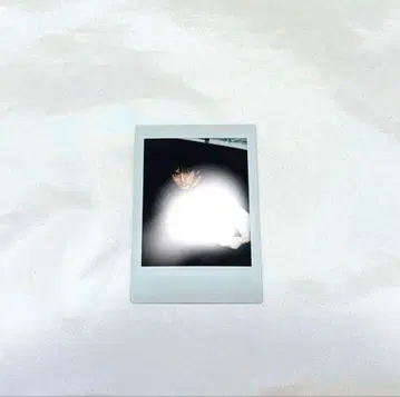 사카이 타이세이 팬미팅 그노이치 솔로 폴라로이드 촬영