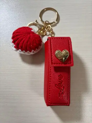 특별히 립 케이스