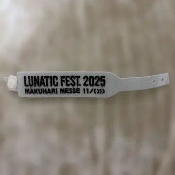 LUNATIC FEST. 2025 이벤트 밴드