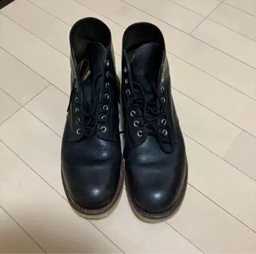 레드윙 아이리쉬 세터