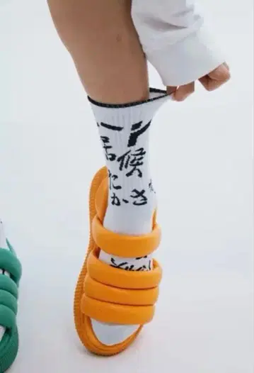 니트와 식객과 타카사키 삭스 화이트