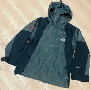 THE NORTH FACE 마운틴 후드티 GORE-TEX
